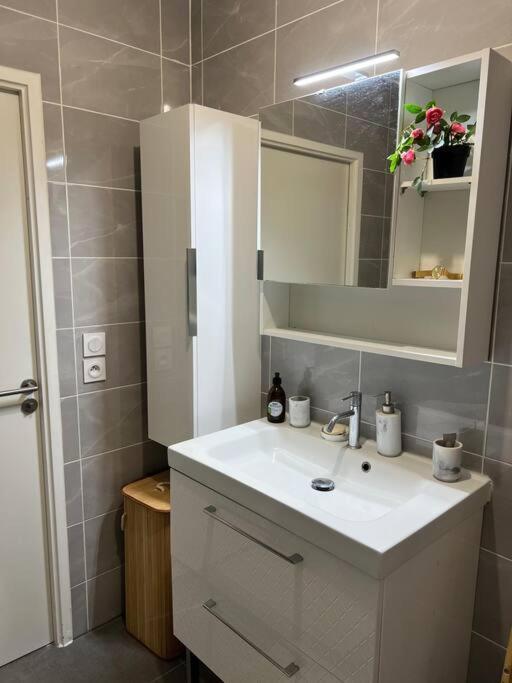 Apartment Cosy T2 Au Porte Dorly Rungis Au Pied Du Metro Ligne 14
