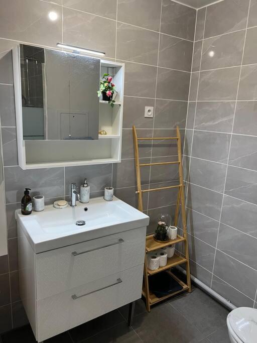 Apartment Cosy T2 Au Porte Dorly Rungis Au Pied Du Metro Ligne 14